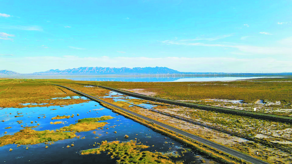 尕海湖，候鸟迁徙的驿站